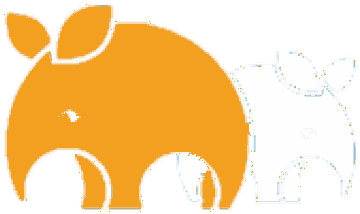Aardvarks Digital