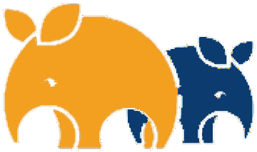 Aardvarks Digital